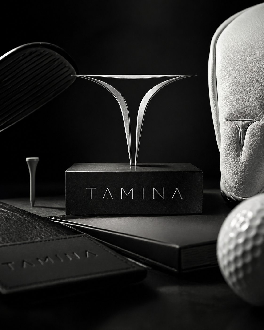 Tamina — Monochrome brand application